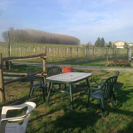 Agriturismo Antica Golena Guastalla Dış mekan fotoğraf