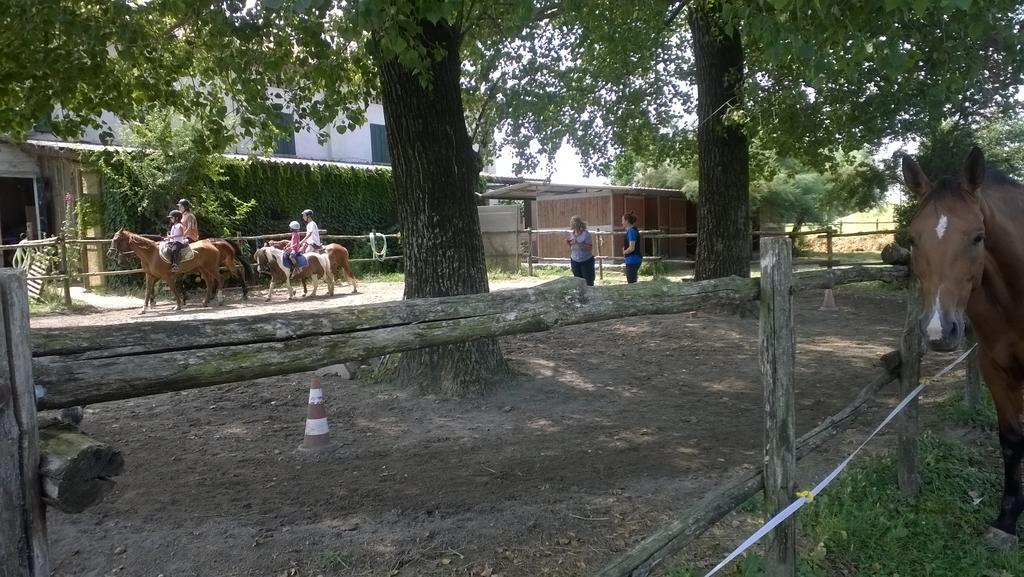 Agriturismo Antica Golena Guastalla Dış mekan fotoğraf